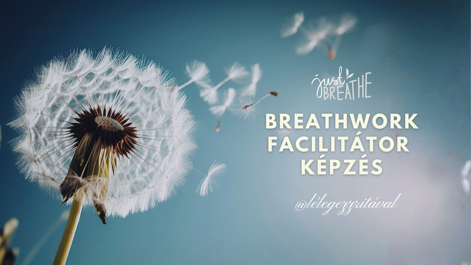 breathwork facilitátor képzés