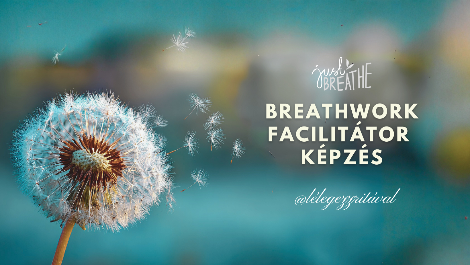 breathwork facilitátori képzés